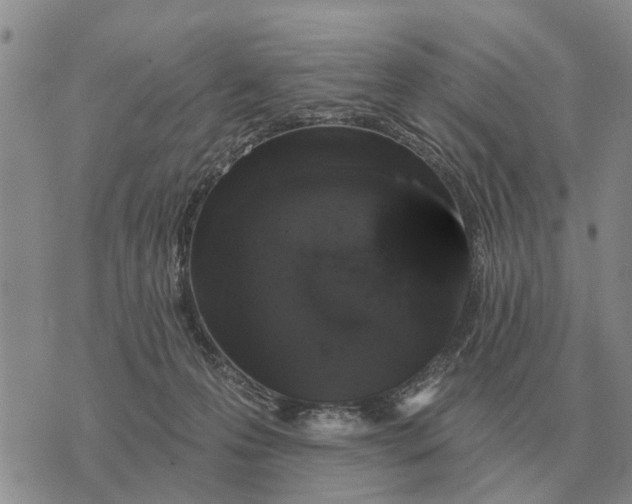 X0000072540223200608041630