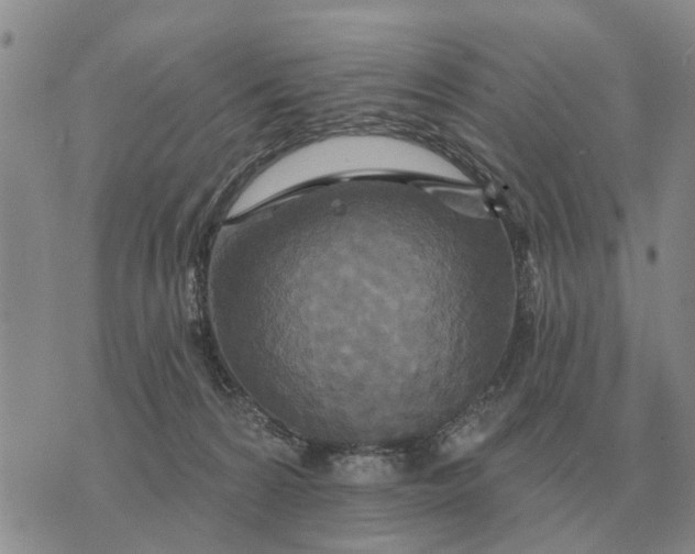 X0000072540224200608041630