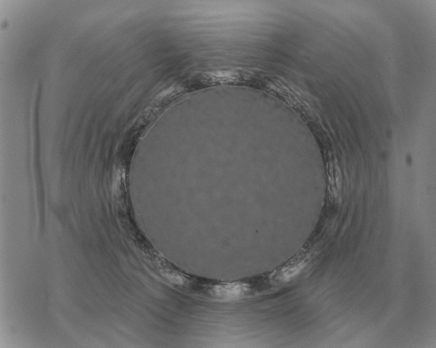 X0000072540225200608041630