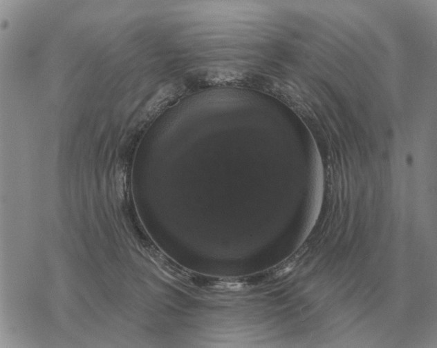 X0000072540227200608041630