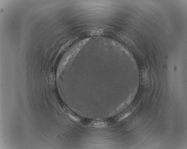 X0000072540228200608041630