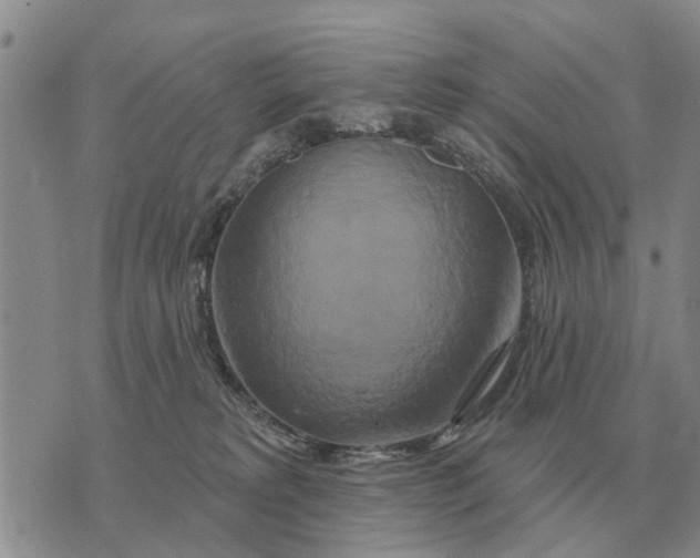 X0000072540229200608041630