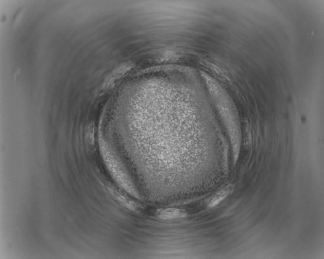 X0000072540230200608041630