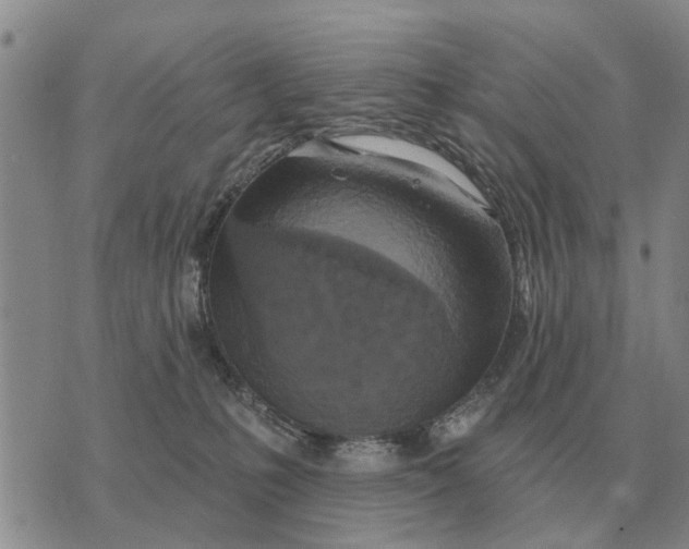 X0000072540231200608041630