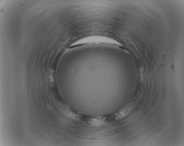 X0000072540232200608041630