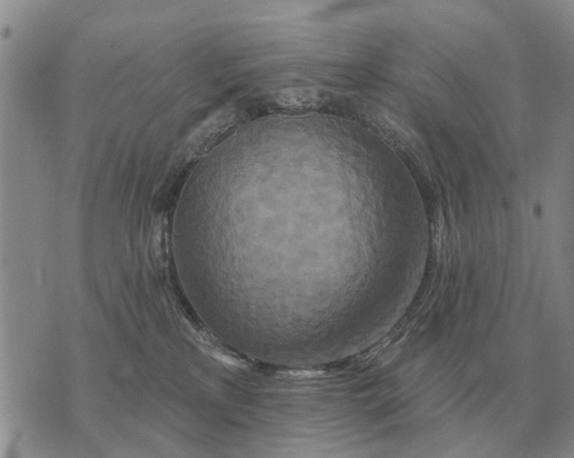 X0000072540233200608041630