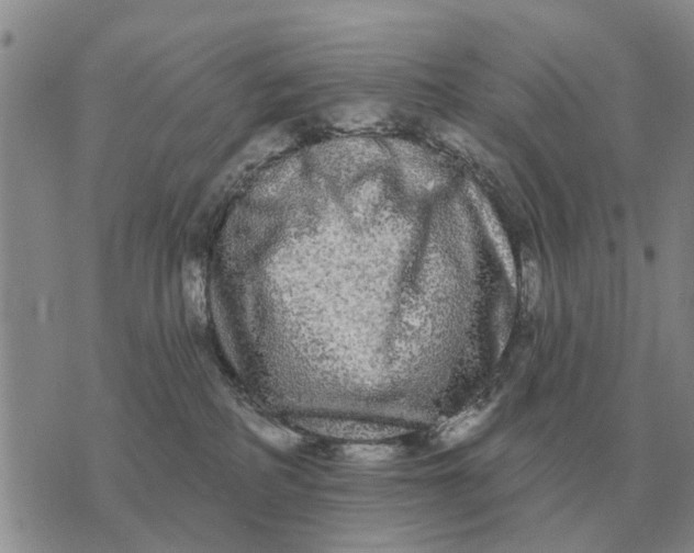 X0000072540234200608041630