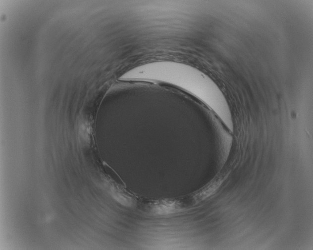 X0000072540235200608041630