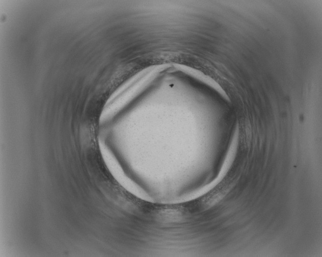 X0000072540236200608041630