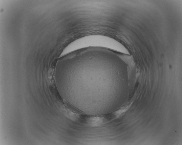 X0000072540237200608041630