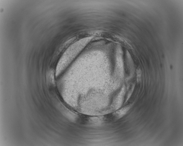 X0000072540238200608041630