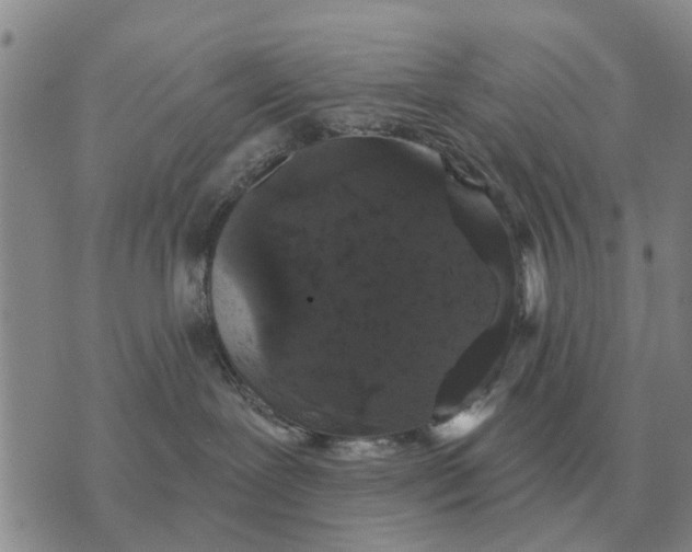 X0000072540239200608041630