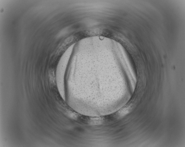 X0000072540240200608041630