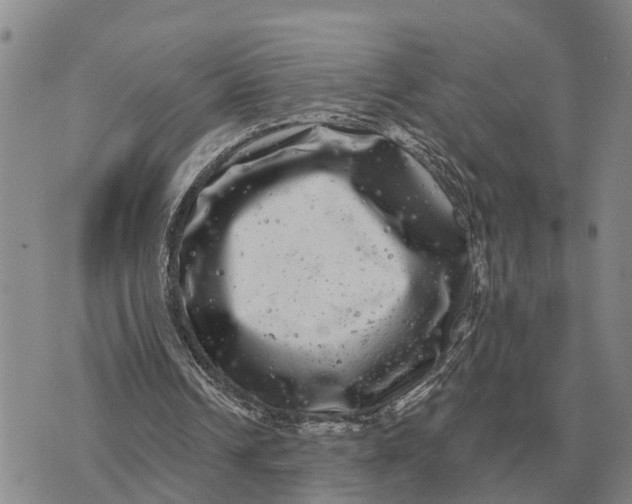 X0000072540242200608041629