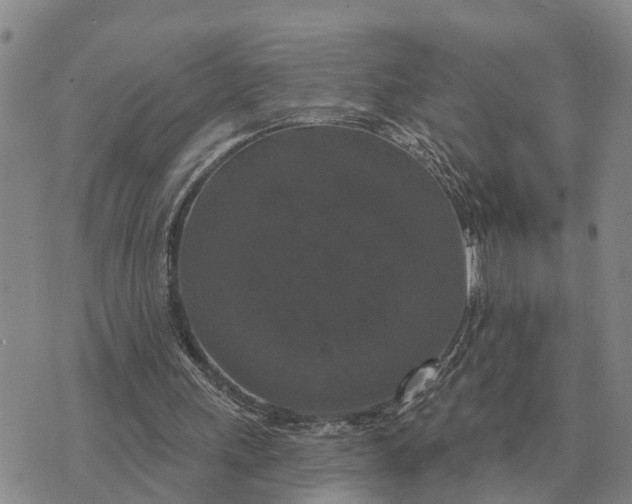 X0000072540243200608041629