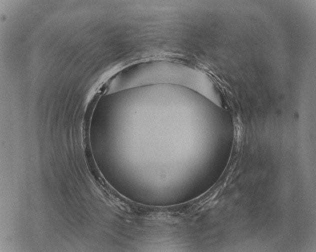 X0000072540244200608041629