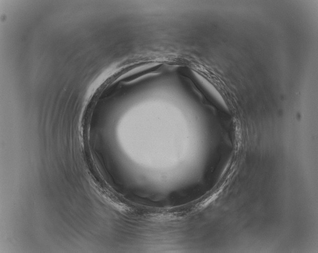 X0000072540246200608041629