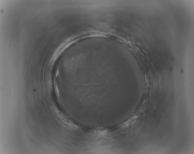 X0000072540247200608041629