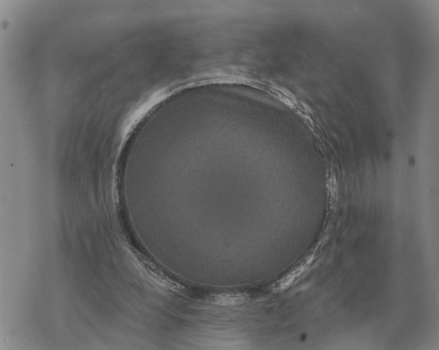 X0000072540248200608041629