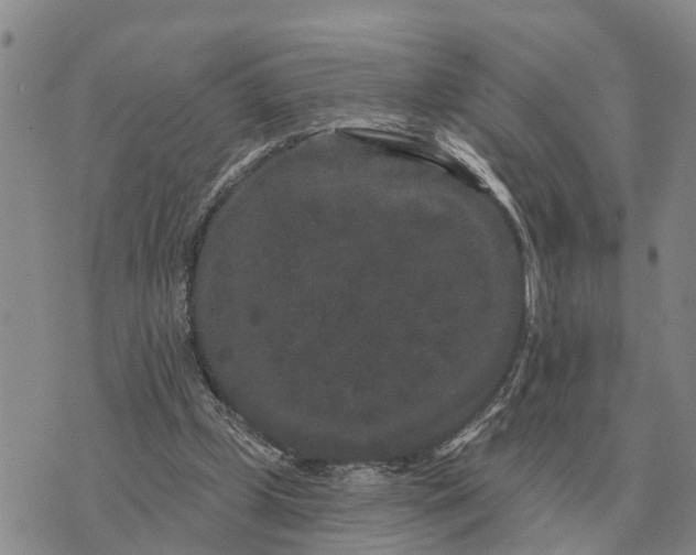 X0000072540249200608041629