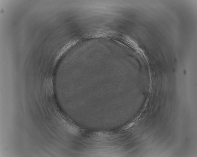 X0000072540250200608041629