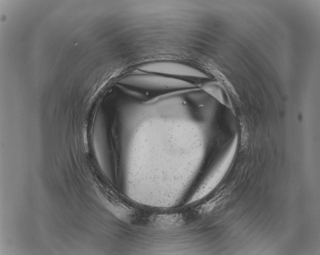 X0000072540251200608041629