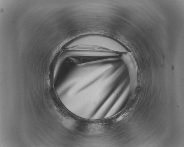 X0000072540252200608041629