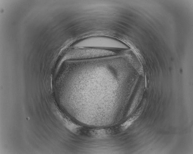 X0000072540253200608041629