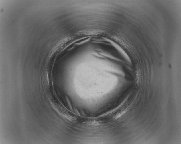 X0000072540254200608041630