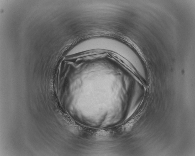 X0000072540257200608041630