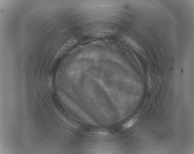 X0000072540258200608041630