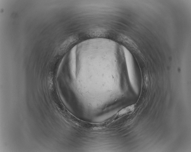 X0000072540259200608041630