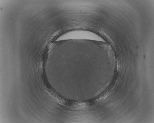 X0000072540260200608041630