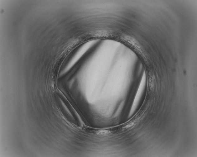 X0000072540261200608041630