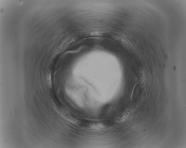 X0000072540262200608041630