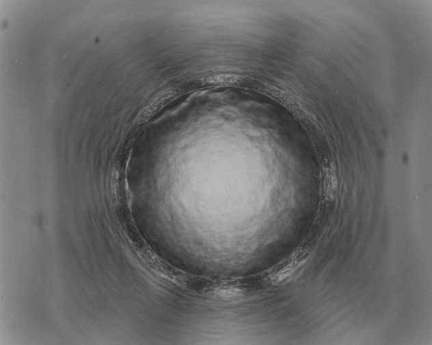 X0000072540263200608041630