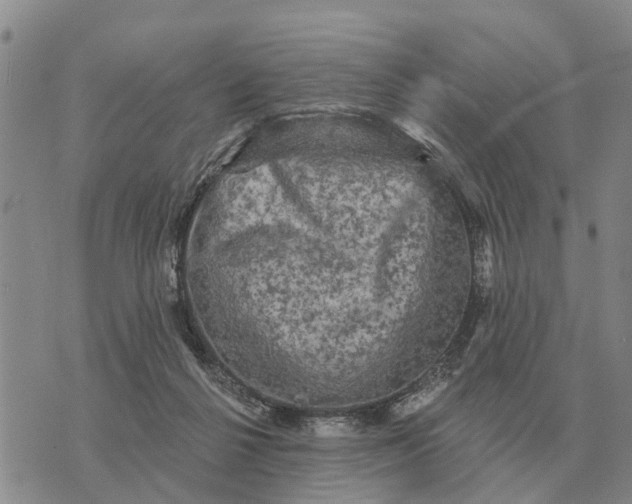 X0000072540264200608041630