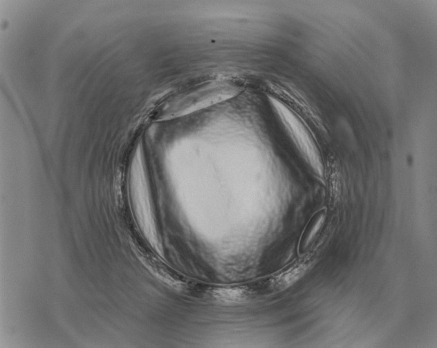 X0000072540265200608041630