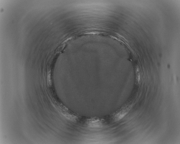 X0000072540267200608041630