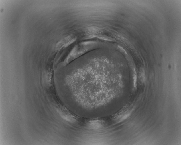 X0000072540268200608041630