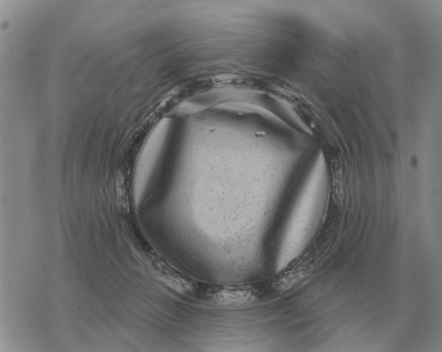 X0000072540270200608041630