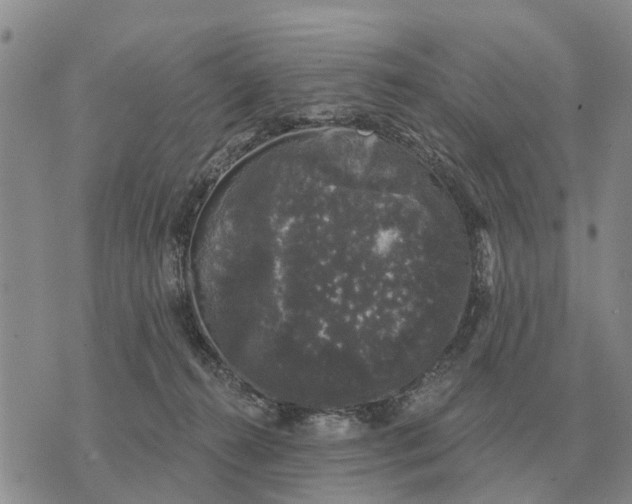 X0000072540272200608041630