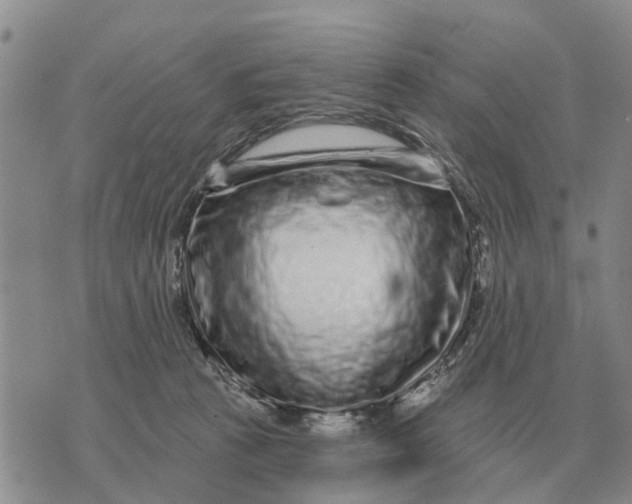 X0000072540273200608041630