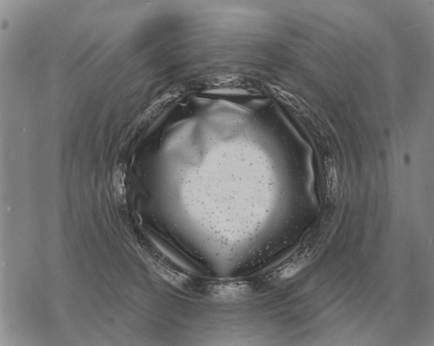 X0000072540274200608041630