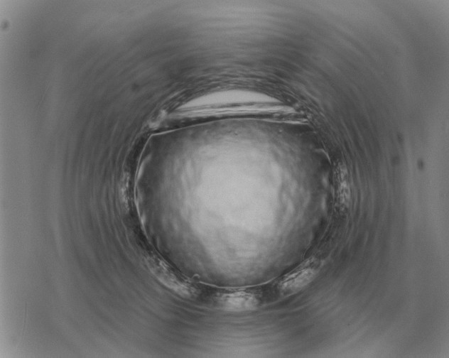 X0000072540275200608041630