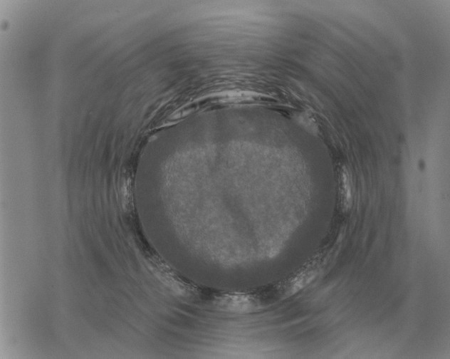 X0000072540276200608041630