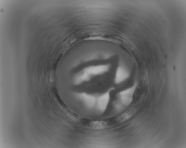 X0000072540277200608041630