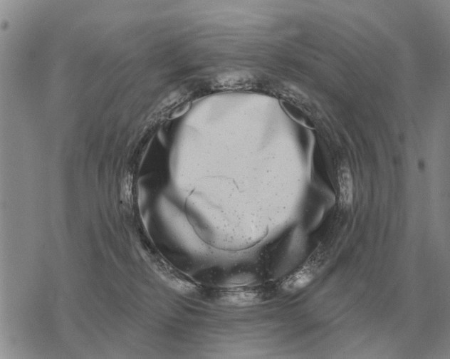 X0000072540278200608041630