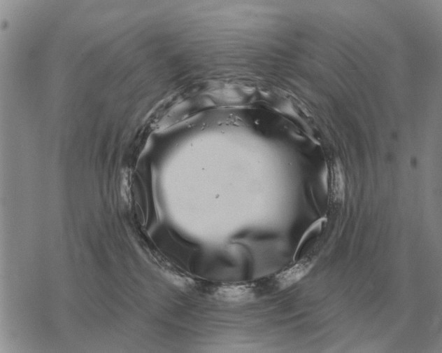 X0000072540280200608041630