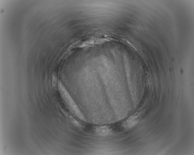 X0000072540281200608041630